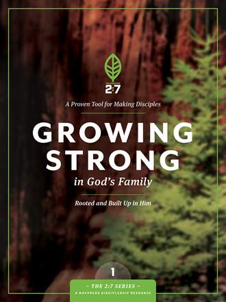 2:7 Series Book Cover